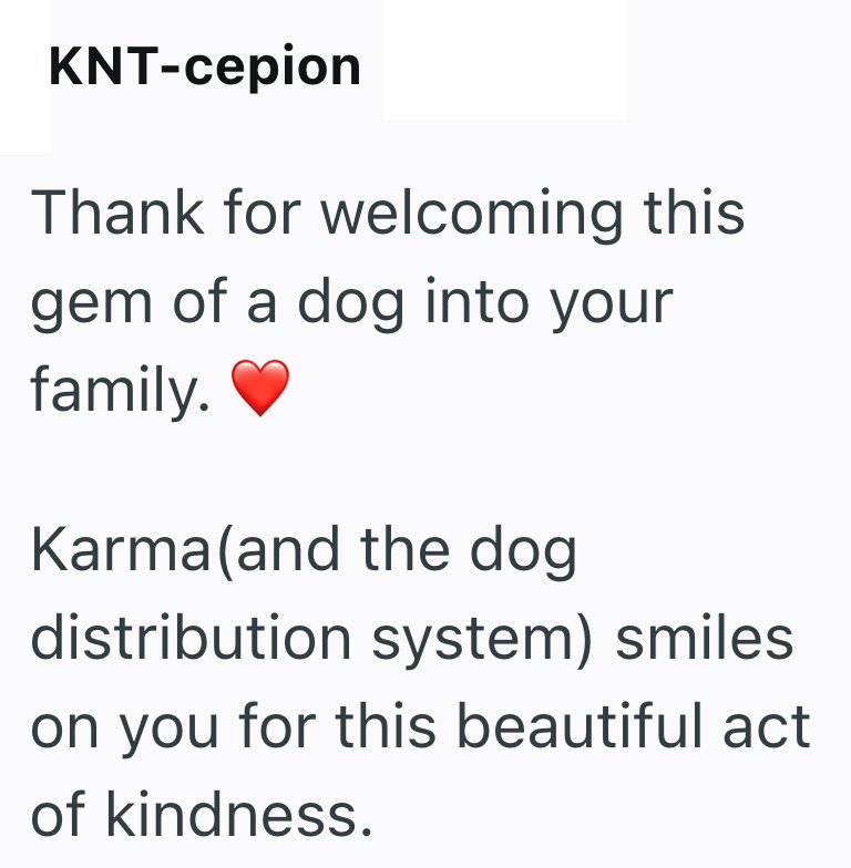 KNT-cepion Thank for welcoming this gem of a dog into your family. Karma(and the dog distribution system) smiles. on you for this beautiful act of kindness.