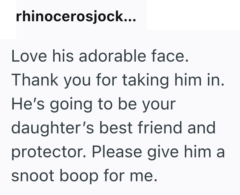 rhinocerosjock... Love his adorable face. Thank you for taking him in. He's going to be your daughter's best friend and protector. Please give him a snoot boop for me.