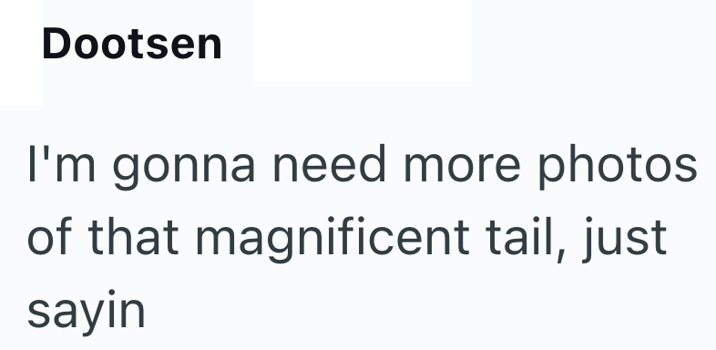 Dootsen I'm gonna need more photos of that magnificent tail, just sayin