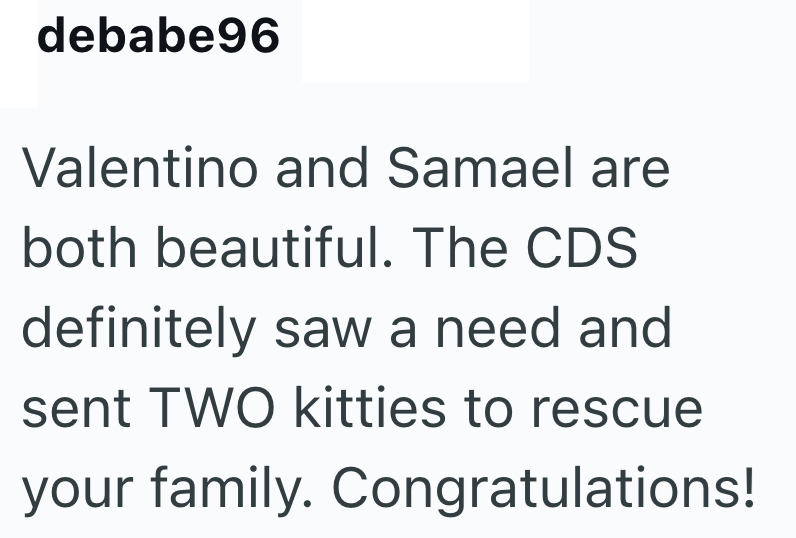 debabe96 Valentino and Samael are both beautiful. The CDS definitely saw a need and sent TWO kitties to rescue your family. Congratulations!