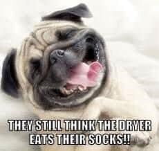 THEY STILL THINK THE DRYER EATS THEIR SOCKS!!