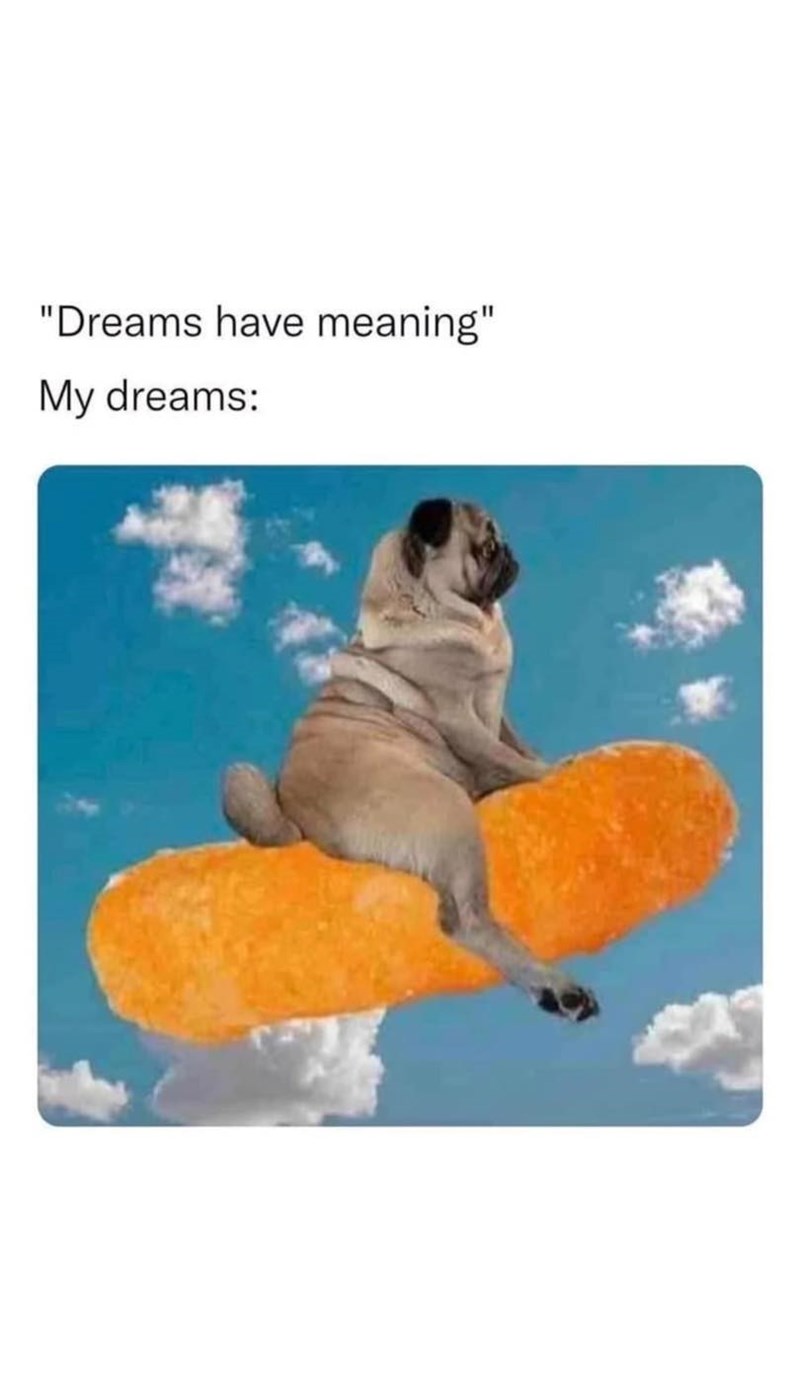 "Dreams have meaning" My dreams: