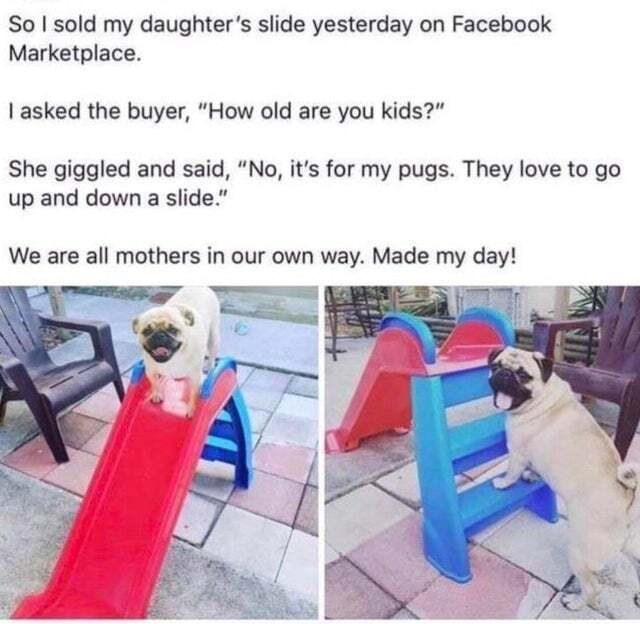 So I sold my daughter's slide yesterday on Facebook Marketplace. I asked the buyer, "How old are you kids?" She giggled and said, "No, it's for my pugs. They love to go up and down a slide." We are all mothers in our own way. Made my day!