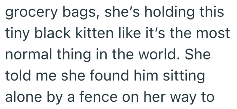 grocery bags, she's holding this tiny black kitten like it's the most normal thing in the world. She told me she found him sitting alone by a fence on her way to
