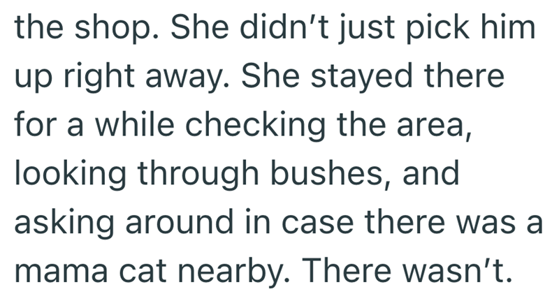 the shop. She didn't just pick him up right away. She stayed there for a while checking the area, looking through bushes, and asking around in case there was a mama cat nearby. There wasn't.