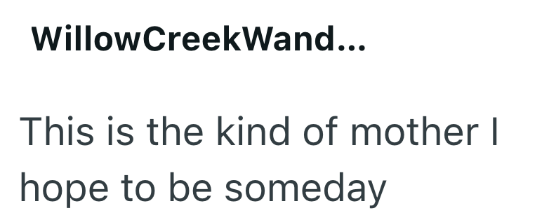 WillowCreekWand... This is the kind of mother I hope to be someday