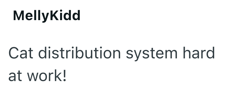 MellyKidd Cat distribution system hard at work!