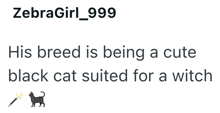 ZebraGirl_999 His breed is being a cute black cat suited for a witch
