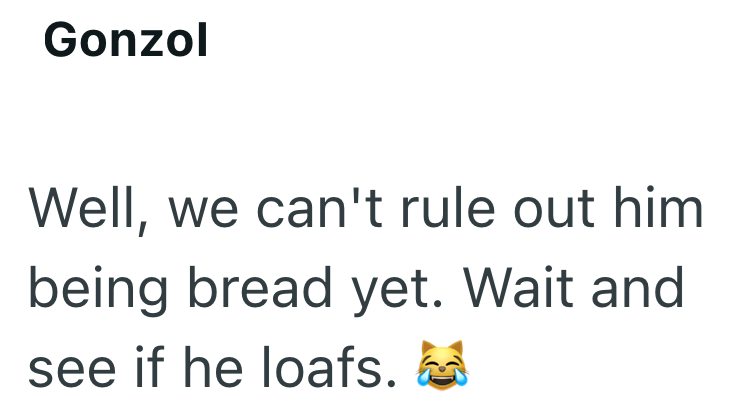 Gonzol Well, we can't rule out him being bread yet. Wait and see if he loafs.