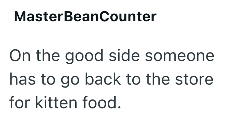MasterBeanCounter On the good side someone has to go back to the store for kitten food.