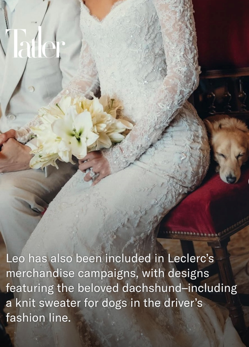 Tatler Leo has also been included in Leclerc's merchandise campaigns, with designs featuring the beloved dachshund-including a knit sweater for dogs in the driver's fashion line.