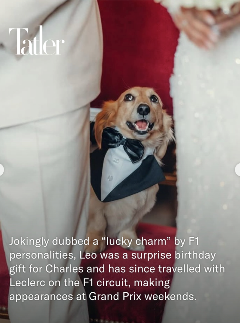 Tatler Jokingly dubbed a "lucky charm" by F1 personalities, Leo was a surprise birthday gift for Charles and has since travelled with Leclerc on the F1 circuit, making appearances at Grand Prix weekends.