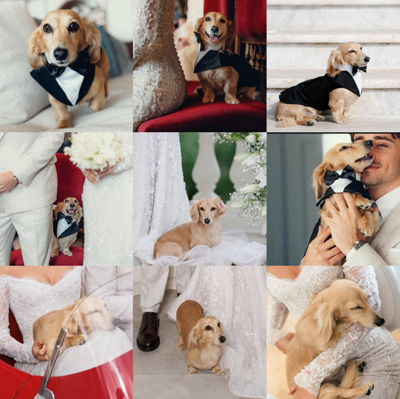 Cheezburger Image 10611852032