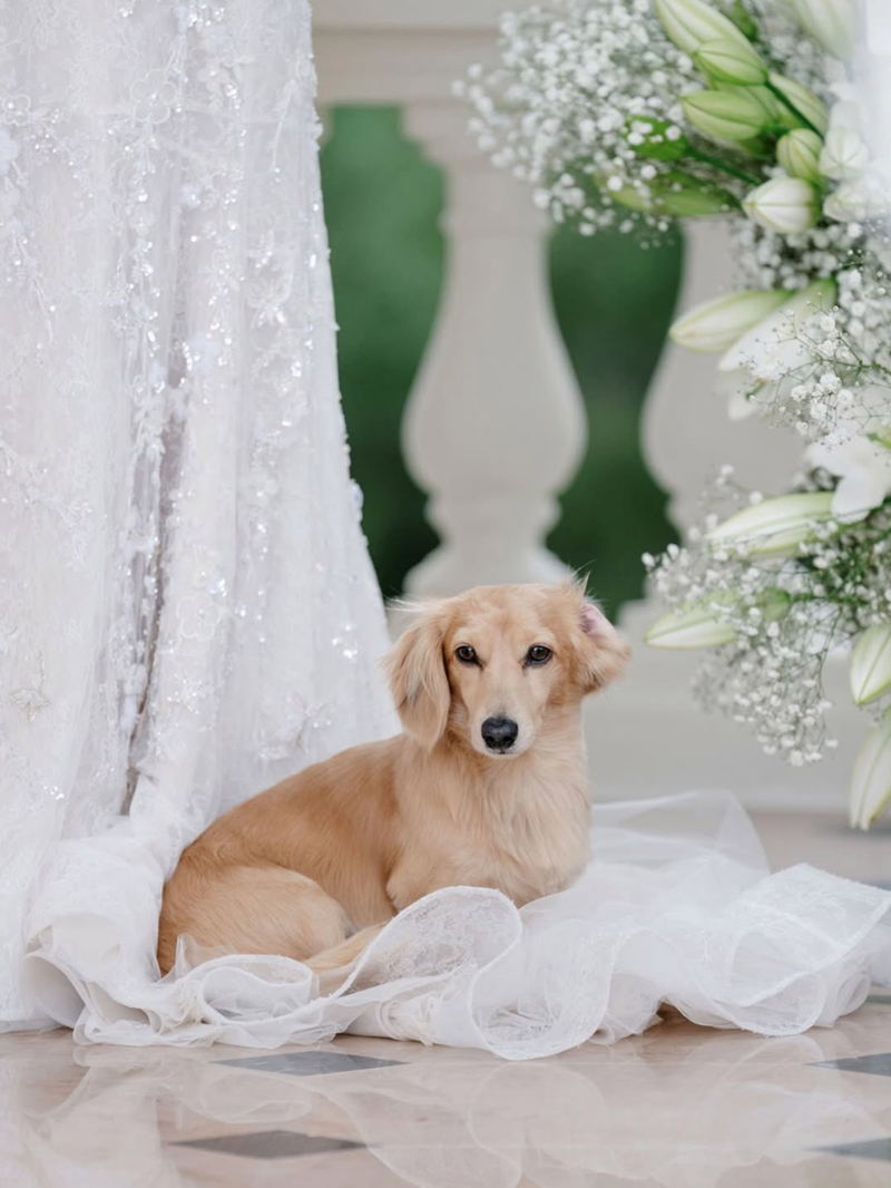 Cheezburger Image 10611852800