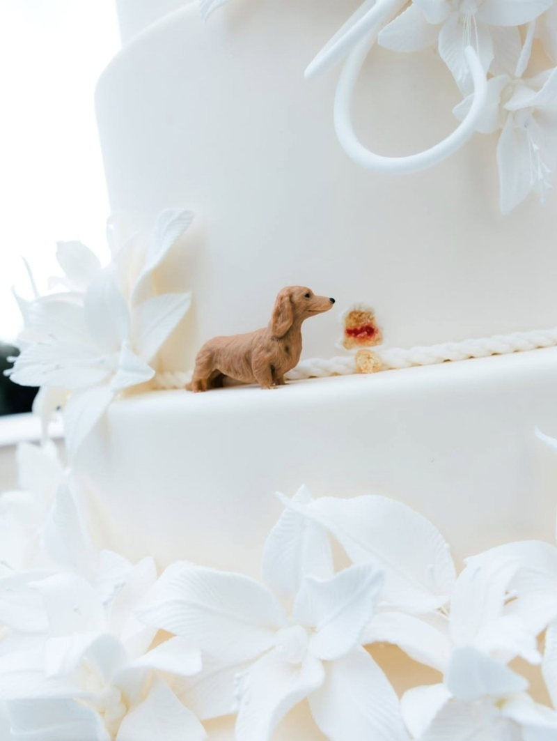 Cheezburger Image 10611853568