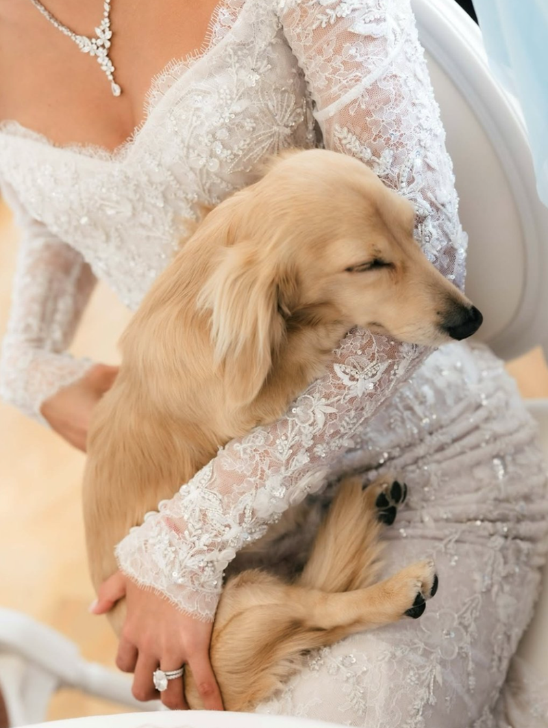 Cheezburger Image 10611854336