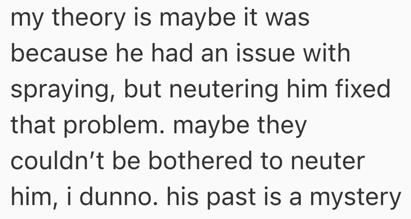 my theory is maybe it was because he had an issue with spraying, but neutering him fixed that problem. maybe they couldn't be bothered to neuter him, i dunno. his past is a mystery
