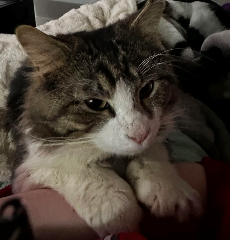 Cheezburger Image 10611858944