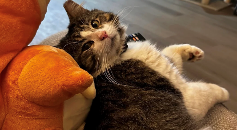 Cheezburger Image 10611859456