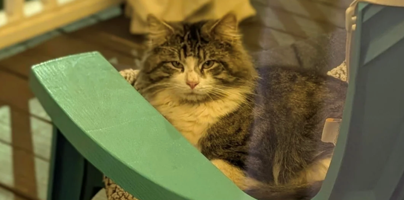 Cheezburger Image 10611859712