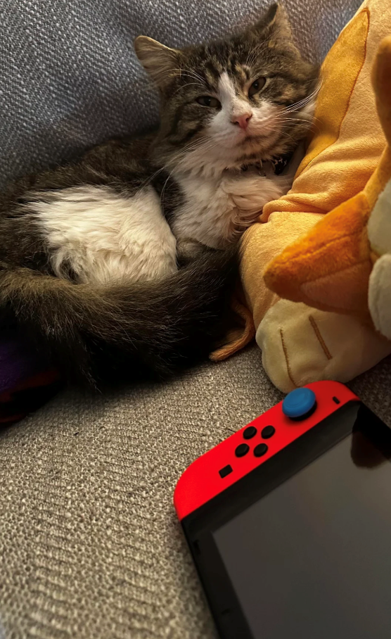 Cheezburger Image 10611859968