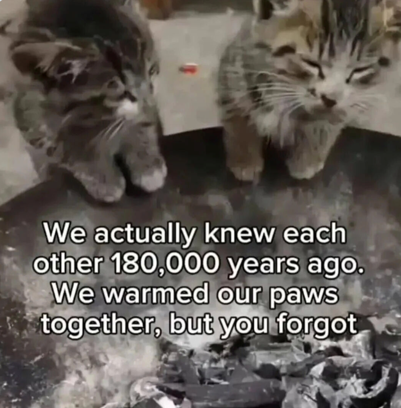 We actually knew each other 180,000 years ago. We warmed our paws together, but you forgot