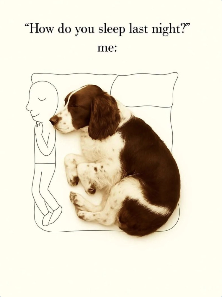"How do you sleep last night?" me: