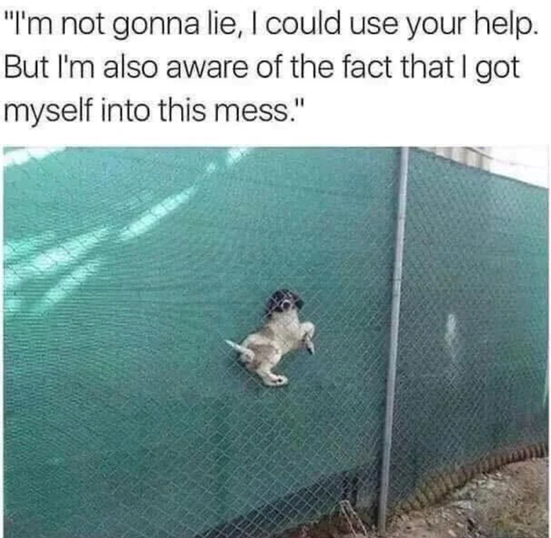 "I'm not gonna lie, I could use your help. But I'm also aware of the fact that I got myself into this mess."