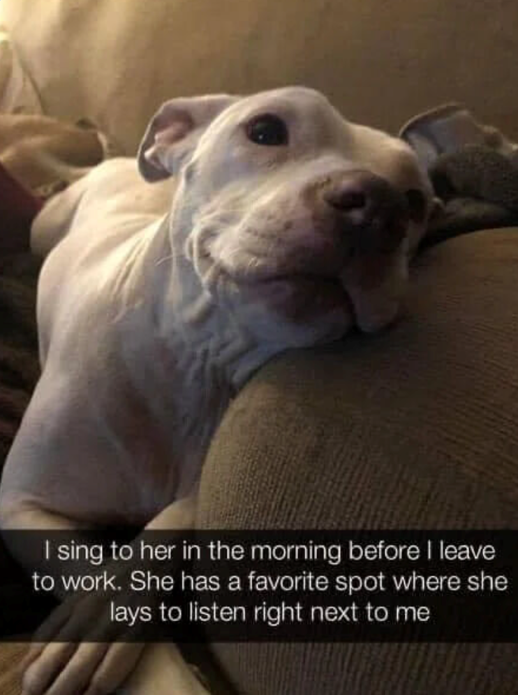 I sing to her in the morning before I leave to work. She has a favorite spot where she lays to listen right next to me.