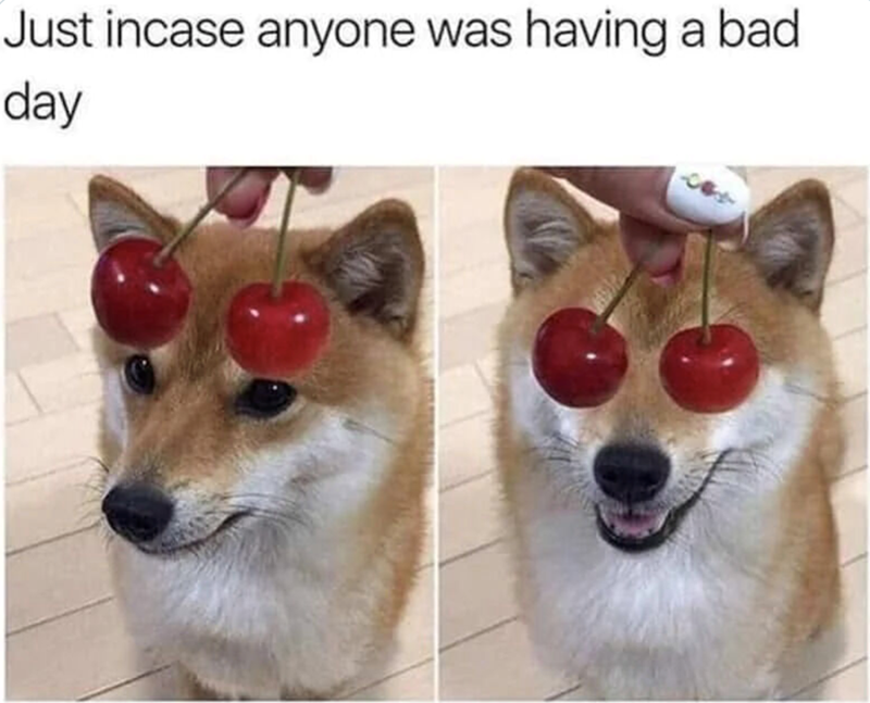 Just incase anyone was having a bad day