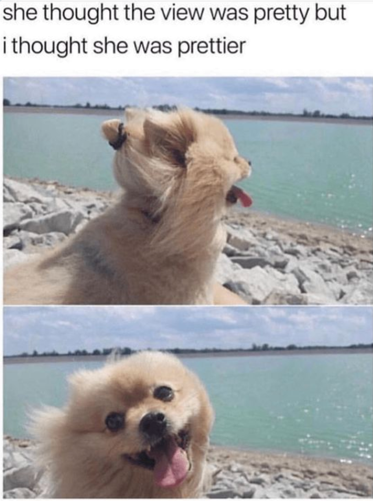 she thought the view was pretty but i thought she was prettier