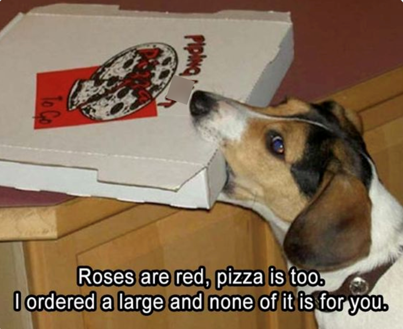 PIPING Roses are red, pizza is too. I ordered a large and none of it is for you.