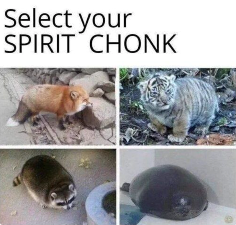 Select your SPIRIT CHONK