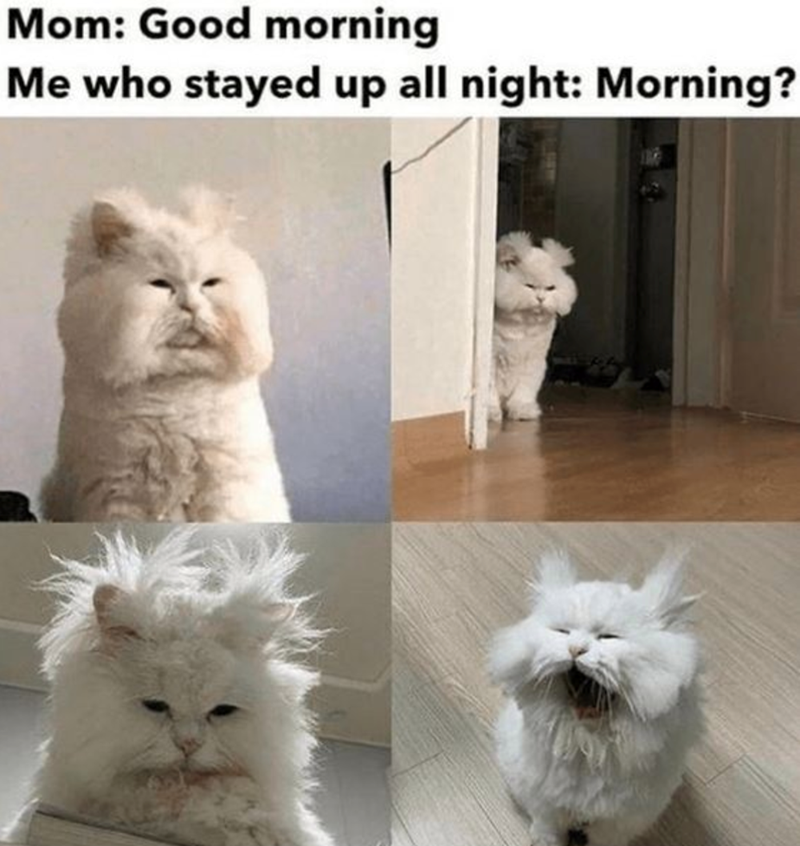 Mom: Good morning Me who stayed up all night: Morning?