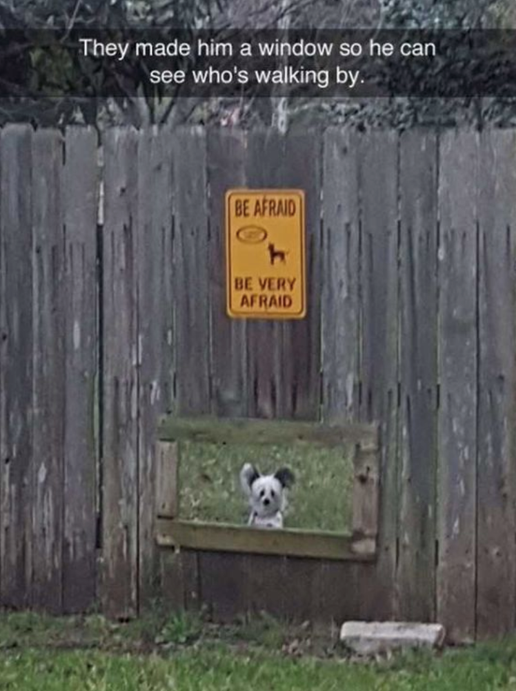 They made him a window so he can see who's walking by. BE AFRAID BE VERY AFRAID