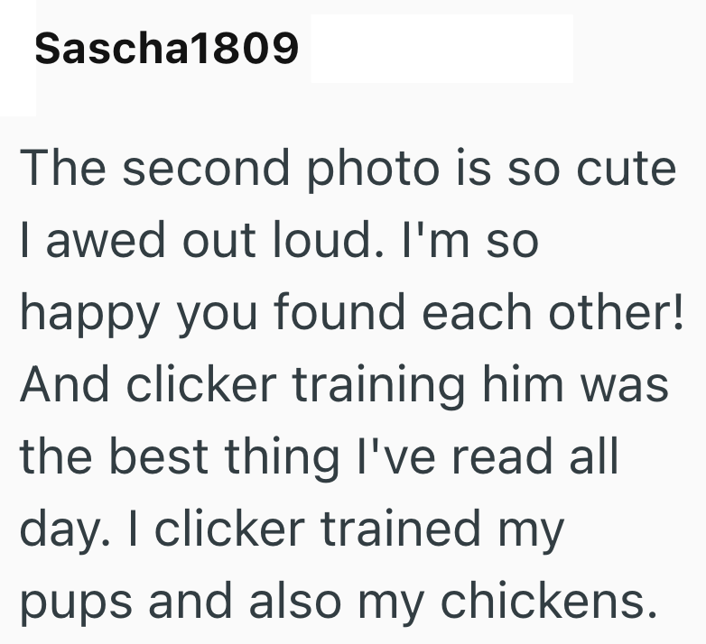 Sascha1809 The second photo is so cute I awed out loud. I'm so happy you found each other! And clicker training him was the best thing I've read all day. I clicker trained my pups and also my chickens.