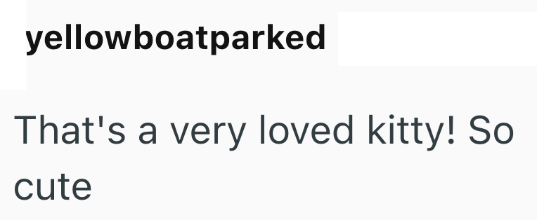 yellowboatparked That's a very loved kitty! So cute