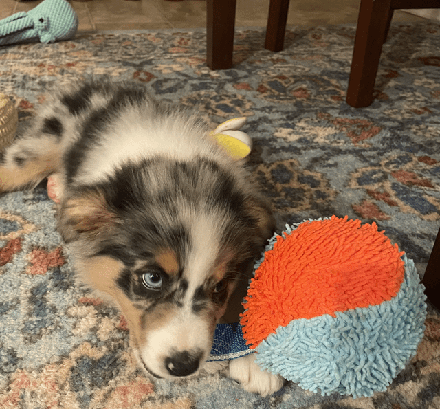 Cheezburger Image 10611879680