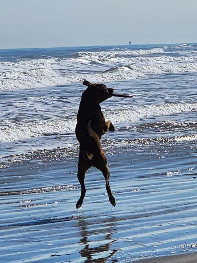 Cheezburger Image 10611879936