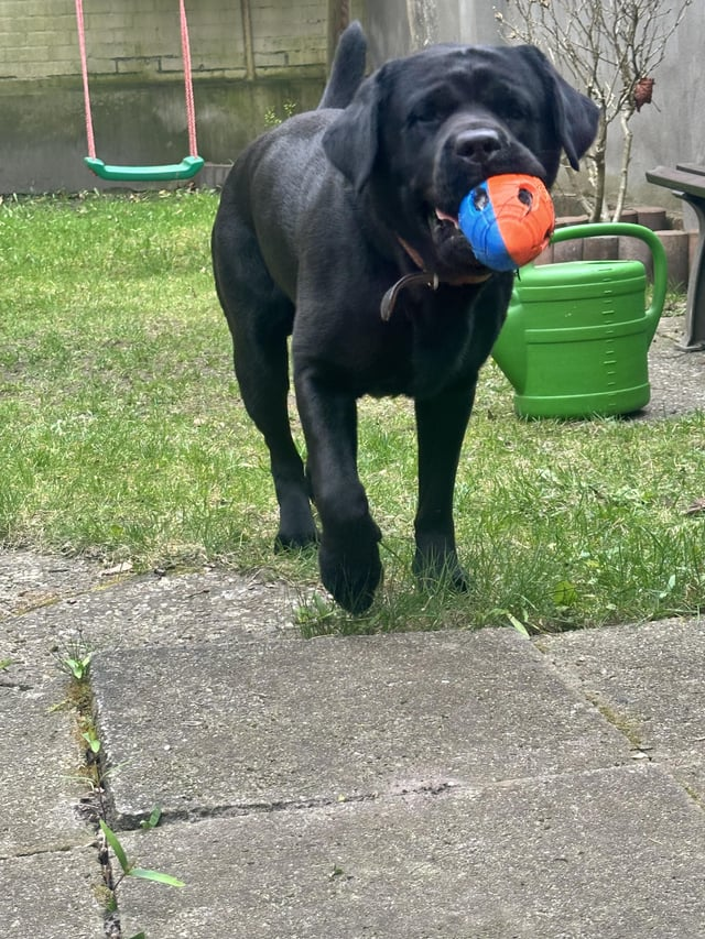 Cheezburger Image 10611880448