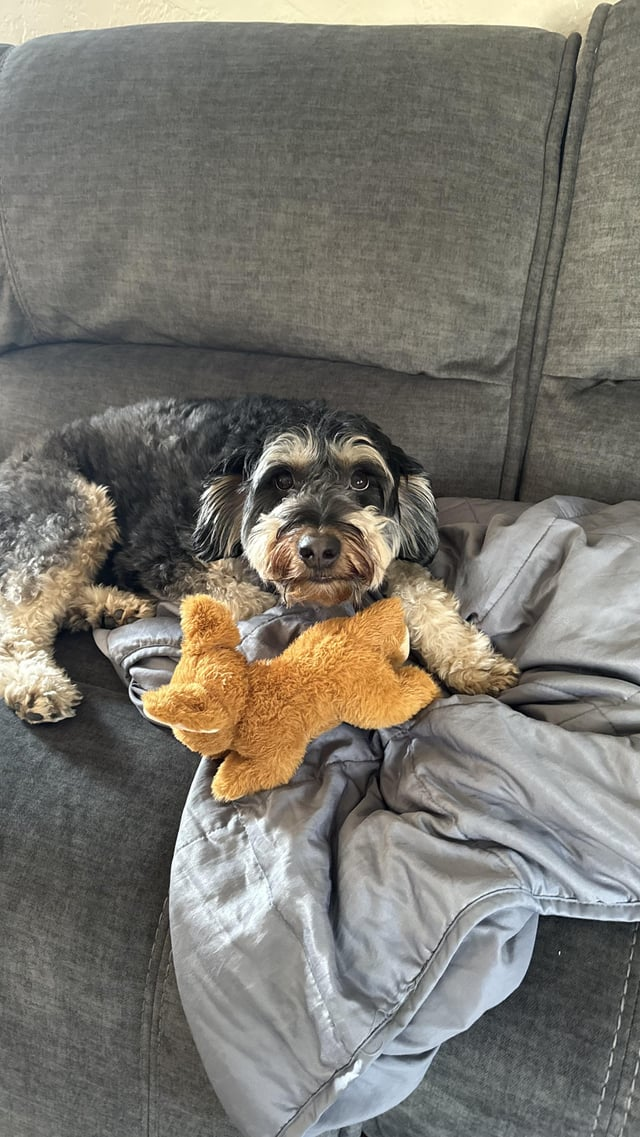 Cheezburger Image 10611880704