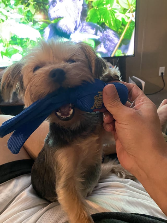 Cheezburger Image 10611880960