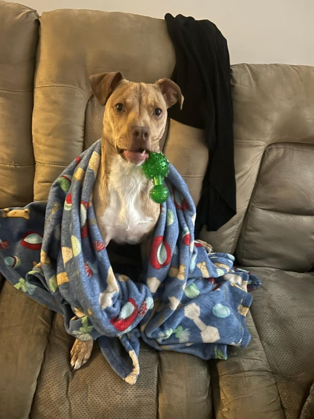 Cheezburger Image 10611881472