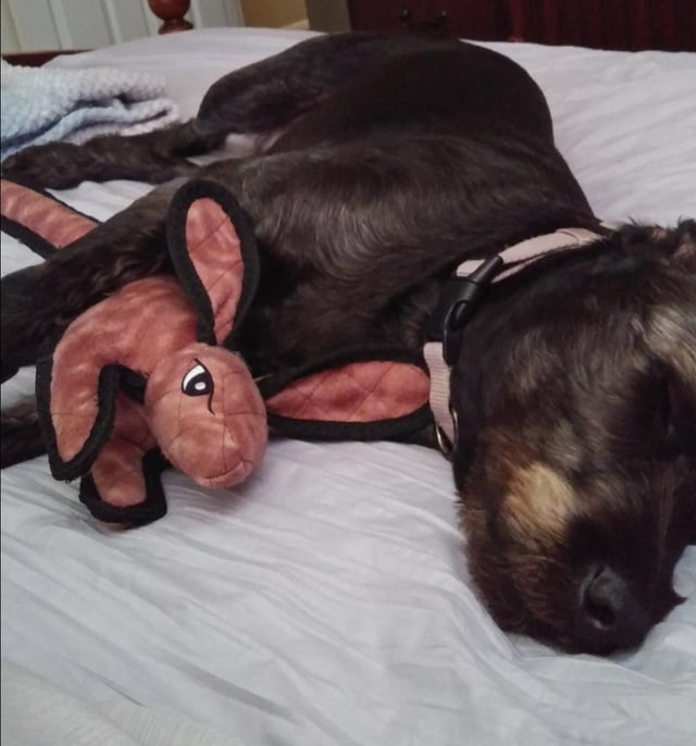 Cheezburger Image 10611882240