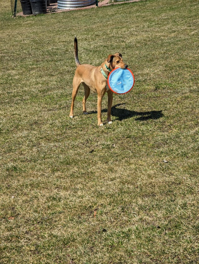 Cheezburger Image 10611882496