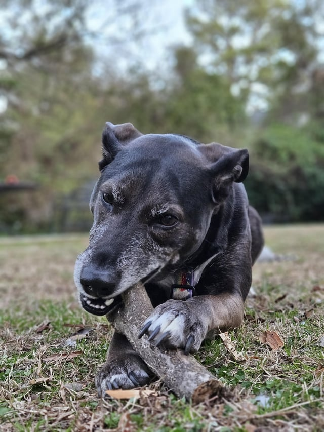 Cheezburger Image 10611884288