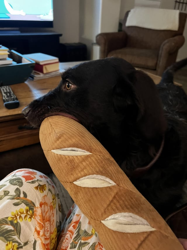 Cheezburger Image 10611884544