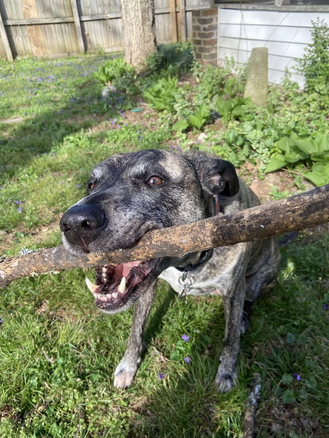 Cheezburger Image 10611884800