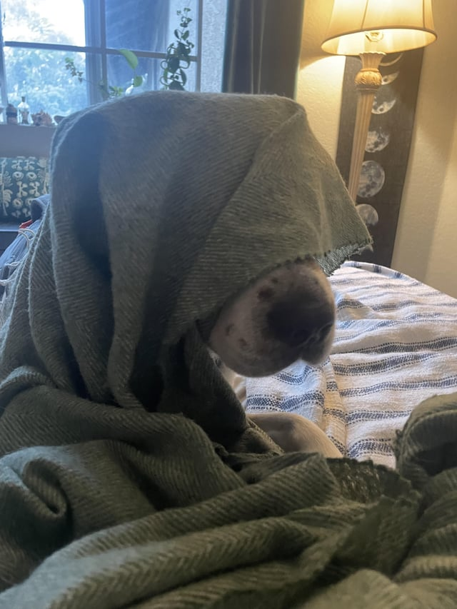 Cheezburger Image 10611886080