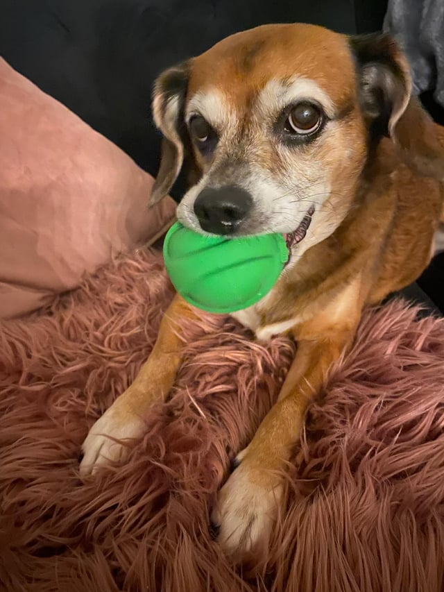 Cheezburger Image 10611886336